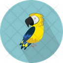 پیش‌نمایش فایل parrot-3060353 از پک حیوانات پرندگان