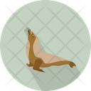 پیش‌نمایش فایل sea-lion-3060350 از پک حیوانات پرندگان