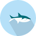 پیش‌نمایش فایل shark-3060349 از پک حیوانات پرندگان
