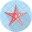 پیش‌نمایش فایل starfish-3060345 از پک حیوانات پرندگان
