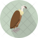 پیش‌نمایش فایل vulture-3060339 از پک حیوانات پرندگان