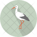 پیش‌نمایش فایل white-ibis-3060338 از پک حیوانات پرندگان