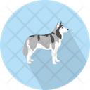 پیش‌نمایش فایل wolf-3060337 از پک حیوانات پرندگان