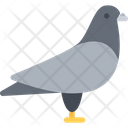پیش‌نمایش فایل dove-3183484 از پک حیوانات خانگی