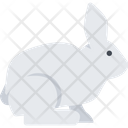 پیش‌نمایش فایل rabbit-3183511 از پک حیوانات خانگی