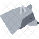 پیش‌نمایش فایل raccoon-3183512 از پک حیوانات خانگی