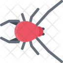 پیش‌نمایش فایل spider-3183516 از پک حیوانات خانگی