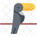 پیش‌نمایش فایل toucan-3183519 از پک حیوانات خانگی