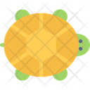 پیش‌نمایش فایل turtle-3183520 از پک حیوانات خانگی