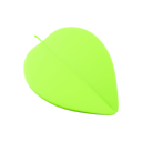 پیش‌نمایش فایل leaf-8638157 از پک اکو