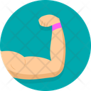 پیش‌نمایش فایل woman-arm-11592952 از پک تناسب اندام و باشگاه