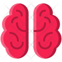 پیش‌نمایش فایل brain-11923894 از پک پزشکی و مراقبت های بهداشتی