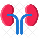 پیش‌نمایش فایل kidneys-11923936 از پک پزشکی و مراقبت های بهداشتی