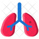 پیش‌نمایش فایل lungs-11923938 از پک پزشکی و مراقبت های بهداشتی