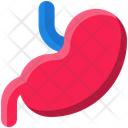 پیش‌نمایش فایل stomach-11923973 از پک پزشکی و مراقبت های بهداشتی