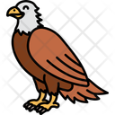 پیش‌نمایش فایل eagle-11928275 از پک حیوان