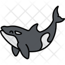 پیش‌نمایش فایل killer-whale-11928289 از پک حیوان