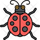 پیش‌نمایش فایل ladybug-11928292 از پک حیوان