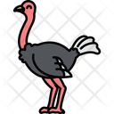 پیش‌نمایش فایل ostrich-11928297 از پک حیوان