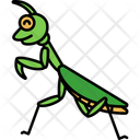 پیش‌نمایش فایل praying-mantis-11928307 از پک حیوان