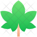 پیش‌نمایش فایل maple-13088369 از پک متریال جلد 17