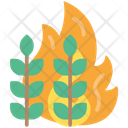 پیش‌نمایش فایل crops-fire-1543379 از پک آلودگی