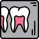 پیش‌نمایش فایل dental-x-ray-1594337 از پک دندانپزشکی