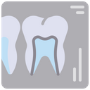 پیش‌نمایش فایل dental-x-ray-1594388 از پک دندانپزشکی