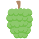 پیش‌نمایش فایل custard-apple-1624168 از پک میوه‌ها