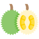 پیش‌نمایش فایل durian-1624165 از پک میوه‌ها