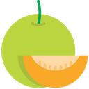 پیش‌نمایش فایل muskmelon-1624199 از پک میوه‌ها