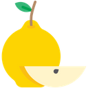 پیش‌نمایش فایل quince-1624189 از پک میوه‌ها
