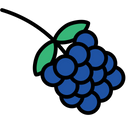 پیش‌نمایش فایل blackberry-1624253 از پک میوه‌ها