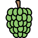 پیش‌نمایش فایل custardapple-1624248 از پک میوه‌ها