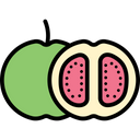 پیش‌نمایش فایل guava-1624241 از پک میوه‌ها