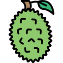 پیش‌نمایش فایل jack-fruit-1624239 از پک میوه‌ها