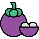 پیش‌نمایش فایل mangosteen-1624230 از پک میوه‌ها