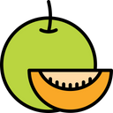 پیش‌نمایش فایل muskmelon-1624229 از پک میوه‌ها