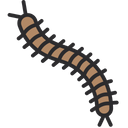 پیش‌نمایش فایل centipede-1671380 از پک موسمی (باران‌های فصلی)