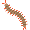 پیش‌نمایش فایل centipede-1671444 از پک موسمی (باران‌های فصلی)