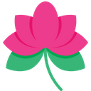 پیش‌نمایش فایل lotus-1696410 از پک روز استقلال