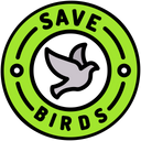 پیش‌نمایش فایل save-birds-1986327 از پک ماکار سانکرانتی (جشن هندی)