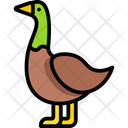 پیش‌نمایش فایل duck-2097140 از پک عید پاک و بهار