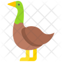 پیش‌نمایش فایل duck-2097204 از پک عید پاک و بهار