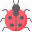 پیش‌نمایش فایل ladybug-2097187 از پک عید پاک و بهار