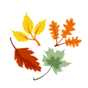 پیش‌نمایش فایل maple-leaf-6889805 از پک روز شکرگزاری