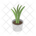 پیش‌نمایش فایل vase-plant-11833990 از پک گیاهان گلدانی
