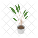 پیش‌نمایش فایل vase-plant-11833991 از پک گیاهان گلدانی