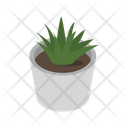پیش‌نمایش فایل vase-plant-11833992 از پک گیاهان گلدانی