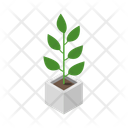 پیش‌نمایش فایل vase-plant-11833993 از پک گیاهان گلدانی